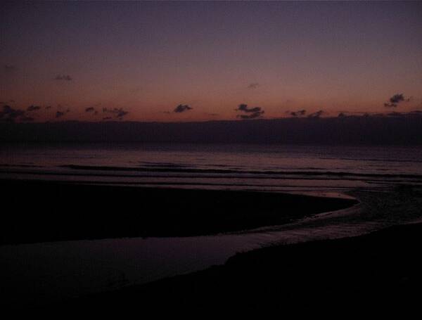 IMG 0018