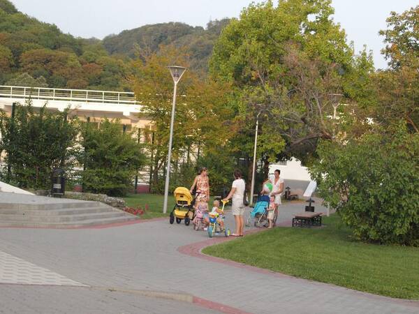 image (67)