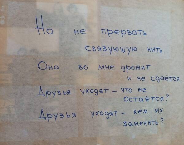 Шичёва Татьяна (67)