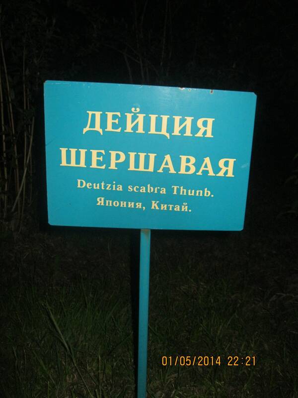 Изображение 088