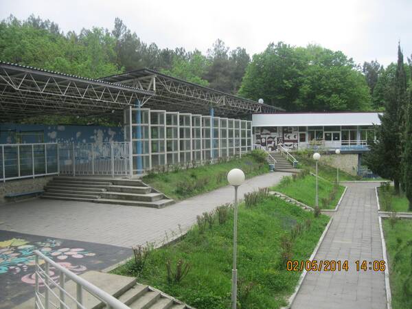 Изображение 310