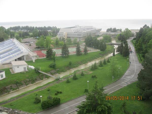 Изображение 1137