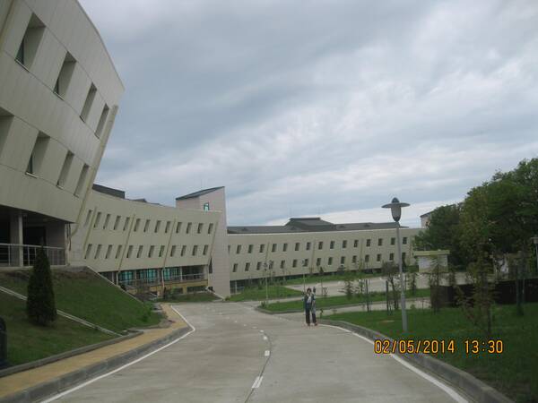 Изображение 276