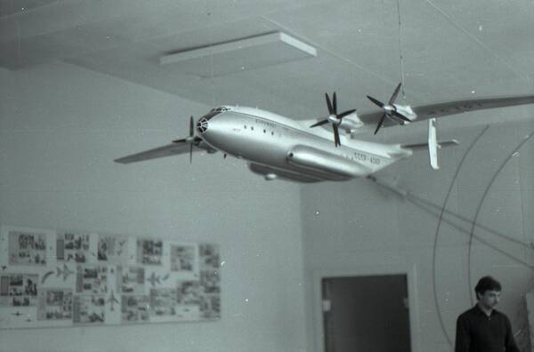 image.jpg3