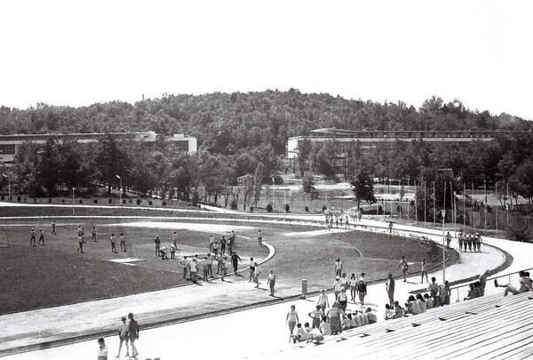 1969 г